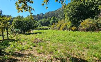 venta terrenos solares tui 
