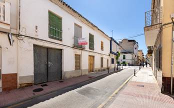 161 casas en venta albolote