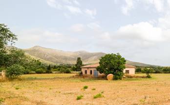 306 terrenos y fincas en venta mallorca islas baleares