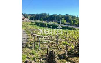 53 terrenos y fincas en venta bayon