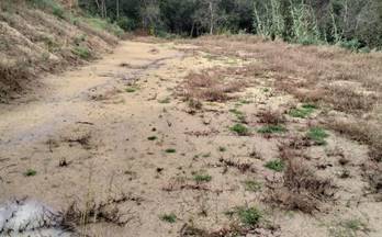 57 terrenos y fincas en venta tordera