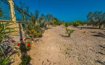 25 terrenos y fincas en venta san isidro, alicante