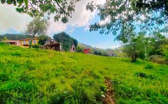 35 terrenos y fincas en venta pravia