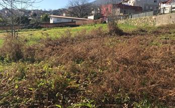 13 terrenos y fincas en venta vigo