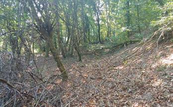 venta finca rustica crecente crecente