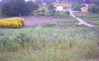 5 terrenos y fincas en venta fornelos de montes