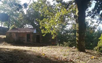 16 terrenos y fincas en venta ponteareas
