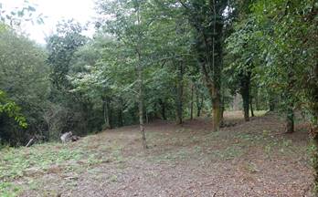 venta finca rustica gondomar morgadanes