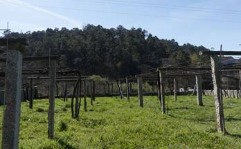 venta terrenos solares resto provincia porri?o (o)