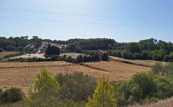 173 terrenos y fincas en venta sa pobla