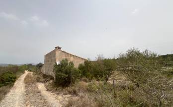 320 terrenos y fincas en venta muro