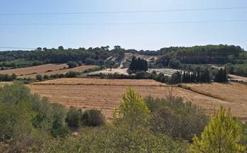 345 terrenos y fincas en venta muro
