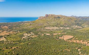 venta finca rustica arta llevant  zona de - artà