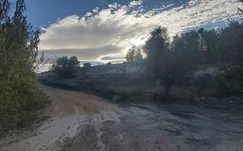 9 terrenos y fincas en venta monovar monover