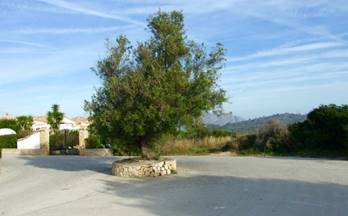 venta terrenos solares benidoleig 