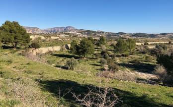 154 terrenos y fincas en venta moraira