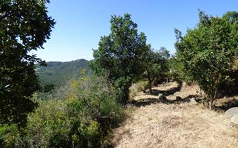 11 terrenos y fincas en venta castell platja d´aro