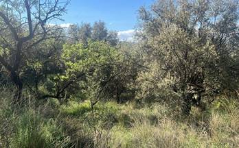 venta finca rustica el valle valle de lecrin