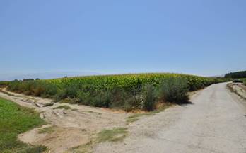 venta finca rustica belicena vial de la vega