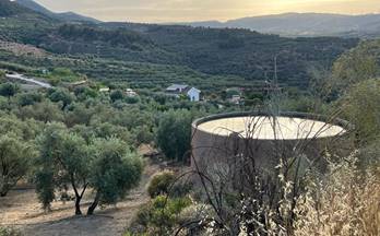 98 terrenos y fincas en venta padul