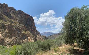 venta terrenos solares lanjaron alpujarra