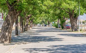 115 terrenos y fincas en venta cullar vega