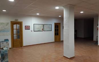 venta local granada constitucion