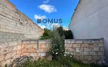 128 terrenos y fincas en venta pollensa