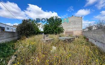 299 terrenos y fincas en venta pollensa
