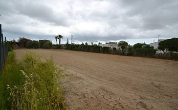 77 terrenos y fincas en venta deltebre