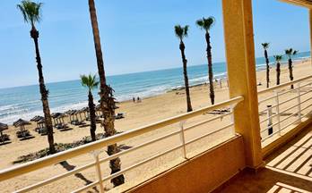 610 apartamentos en venta rojales