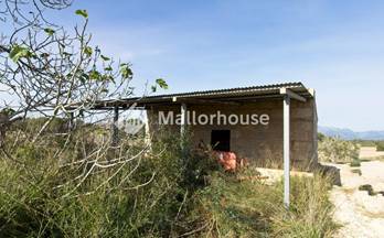 47 terrenos y fincas en venta sant joan