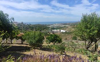 172 casas en venta caleta de velez