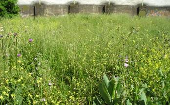 venta terrenos solares zafra zafra