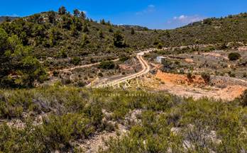 6 casas en venta tibi