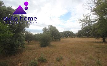 venta suelo urbanizable maello dehesa de pancorbo