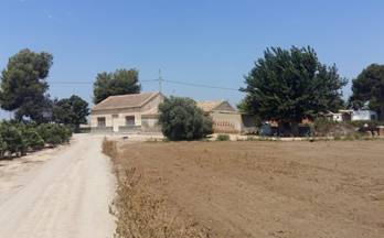17 terrenos y fincas en venta daya vieja
