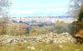 venta finca rustica ronda ronda