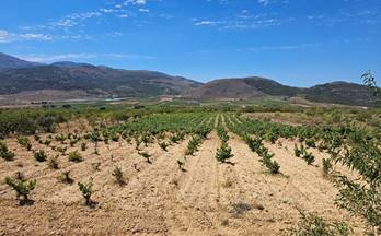 venta finca rustica laujar de andarax carretera de guarros