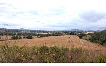 venta terrenos solares manacor 