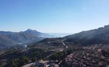 venta terrenos solares benimantell 