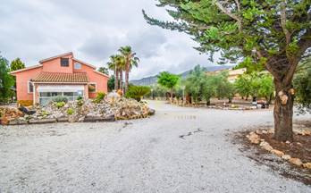 317 casas en venta albatera