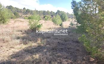 87 terrenos y fincas en venta albaida