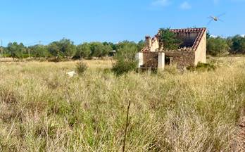 249 terrenos y fincas en venta tarragona provincia