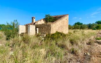 78 terrenos y fincas en venta santa barbara