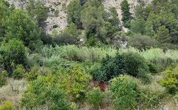 venta terrenos solares guadalest guadalest