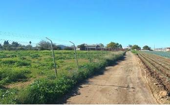 2 terrenos y fincas en venta sevilla