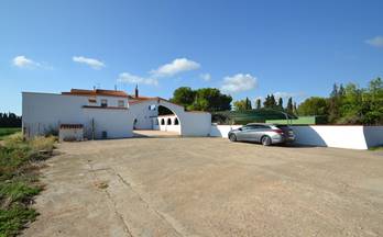 9 terrenos y fincas en venta vinaros