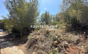 32 terrenos y fincas en venta alberic