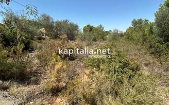 60 terrenos y fincas en venta beneixida